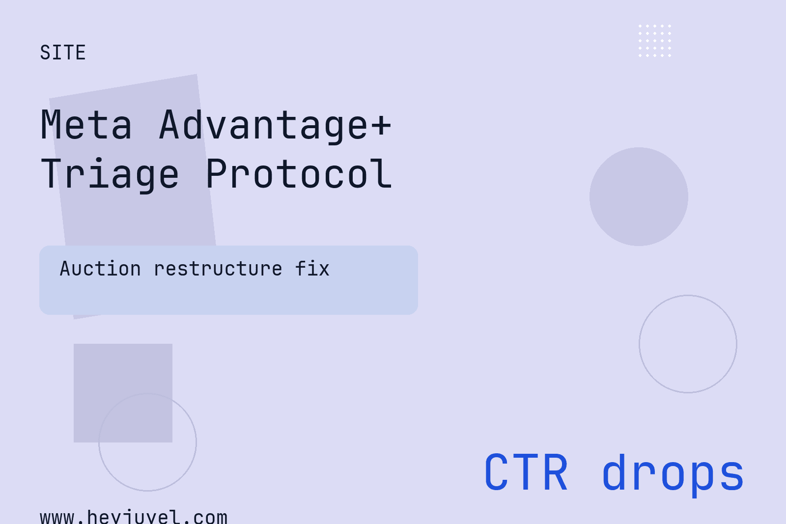 Meta Advantage+ Triage Protocol for Performance Buyers